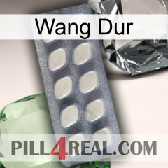 Hard Wang 08